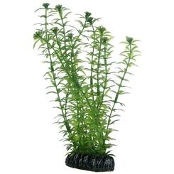 Hobby Kunstpflanze Lagarosiphon  20 cm