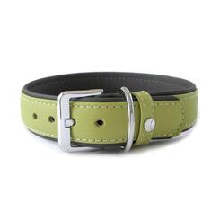 Das Lederband Hundehalsband Amsterdam Lime / Lava 40mm x 65cm