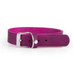 Das Lederband Hundehalsband Weinheim Violet 16mm x 32cm