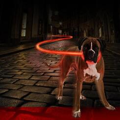 Duvo+ Flash Leuchtring Silikon Leuchtendes Hundehalsband rot Gr. M