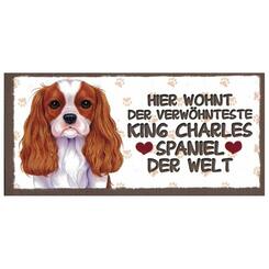 Power Gift Kühlschrankmagnet Motiv King Charles Spaniel  9x4,5cm