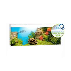 Juwel Rio LED 450 Aquarium Set weiß