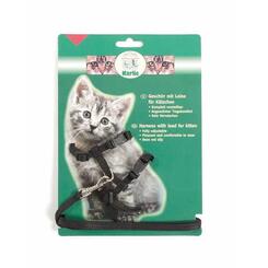 Karlie: Kätzchengarnitur für Kittys 10mmx120cm schwarz