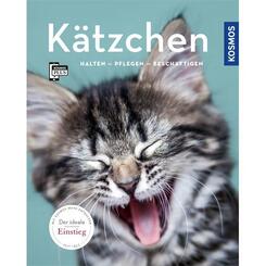 Katzenbuch Kosmos: Kätzchen