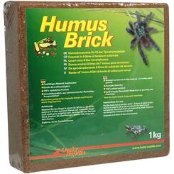 Lucky Reptile: Humus Brick 1kg (ca. 8l)  1Stück