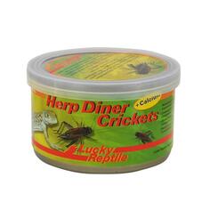 Lucky Reptile Herp Diner Crickets groß  35g