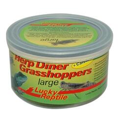 Lucky Reptile Herp Diner Grasshoppers large  35g