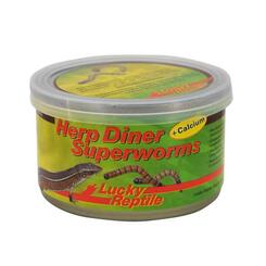 Lucky Reptile Herp Diner Superworms  35g