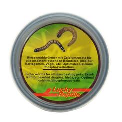 Lucky Reptile Herp Diner Superworms  35g