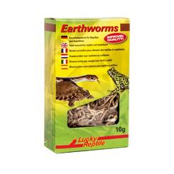 Lucky Reptile Earthworms  10g