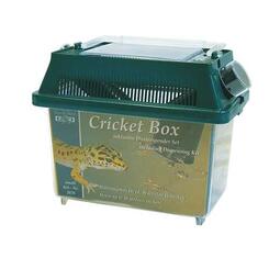 Namiba Terra: Cricket Box klein 18x11x16cm