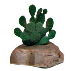 Namiba Terra: Mini Opuntie 9cm