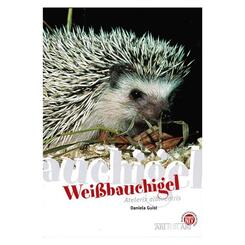 NTV: Weißbauchigel (Atelerix albiventris)