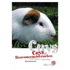 NTV: Cuys Riesenmeerschweinchen (Cavia apera f. porvellus)