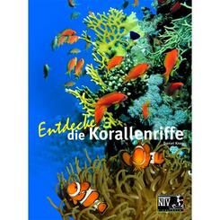 NTV: Entdecke die Korallenriffe von Daniel Knop
