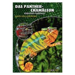 NTV: Art für Art Das Panther Chamäleon Furcifer Pardalis
