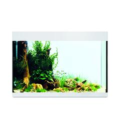 Oase StyleLine 175 LED Aquarium weiß  80 x 40 x 55 cm Bild 3
