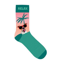 Plenty Gifts Socks Relax, Socken Gr. 42-45, rosa/grün, Hund mit Sonnenbrille Motiv