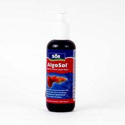 Söll: AlgoSol Aquaristik  250 ml für 2500L