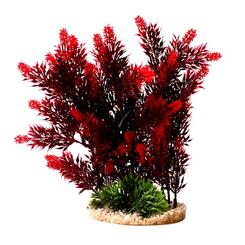 Sydeco: Hedge ca. 25 cm Rot