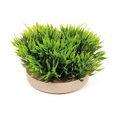 Sydeco: Green Moss ca. Ø 10cm grün 1 Stück