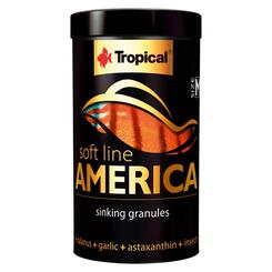 Tropical America Size M  100 ml