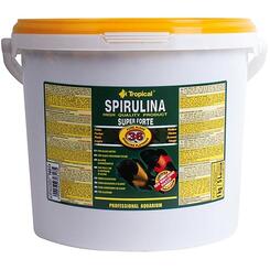 Tropical: Spirulina Super Forte 36%  5 Liter