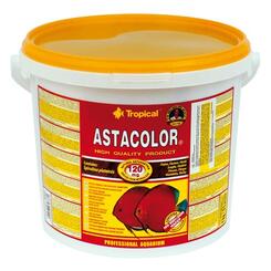 Tropical: Astacolor 5l
