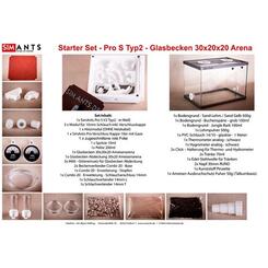 SimAnts Starter Set Pro S Typ 2 - Glasbecken 30 x 30 x 20 Arena