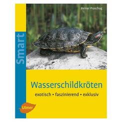 Ulmer: Wasserschildkröten