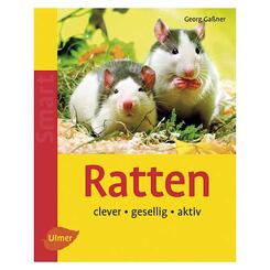 Ulmer: Ratten