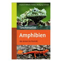 Ulmer Verlag Taschenatlas Amphibien