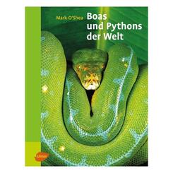 Ulmer Verlag Boas und Phythons der Welt