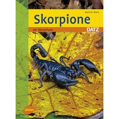 Ulmer Verlag Skorpione im Terrarium