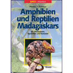 Ulmer Verlag Amphibien und Reptilien Madagaskars