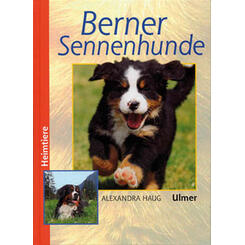 Ulmer Verlag Berner Sennenhund