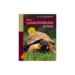 Ulmer: Meine Landschildkröte zu Hause