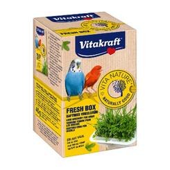 Vitakraft: Bio-Box saftiges Vogelgrün  40 g