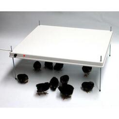HEKA Kükenaufzuchtwärmeplatte ohne Thermostat, 90 Watt, 41x51 cm für ca. 50-60 Küken