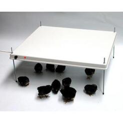 HEKA Kükenaufzuchtwärmeplatte ohne Thermostat, 110 Watt, 51x61 cm für ca. 65-75 Küken