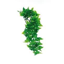 Zoo Med: Natural Bush Plastic Plant Mexican Phyllo small 30cm