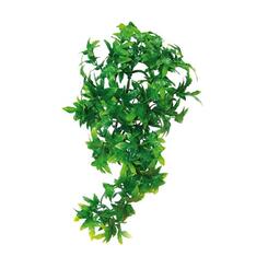 Zoo Med: Natural Bush Plastic Plant Congo Ivy small 30cm
