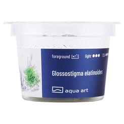 In-Vitro-Aquariumpflanze Aqua Art Glossotigma elatioides Becherpflanze