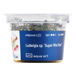 Aqua Art Ludwigia sp. Super Mini Red Becherpflanze