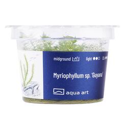 In-Vitro-Aquariumpflanze Aqua Art Myriophyllum sp. Guyana Becherpflanze