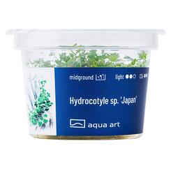 Aqua Art Hydrocotyle sp. Japan Becherpflanze