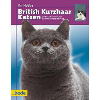 Katzenbuch Bede Verlag: British Kurzhaar Katzen