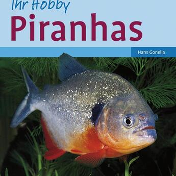 Ulmer: Ihr Hobby Piranhas