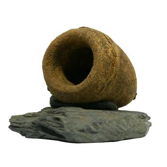 Aqua-Global Sapucaia Kapsel auf Stein einzeln Zierfischöhle  ca. 6-8cm