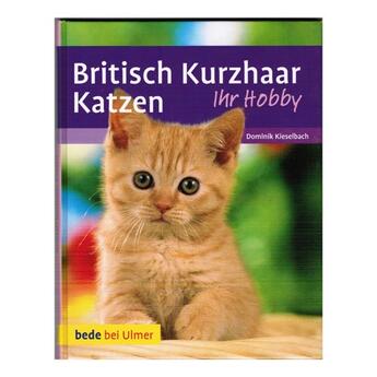Katzenbuch Bede bei Ulmer: Ihr Hobby Britisch Kurzhaar Katzen